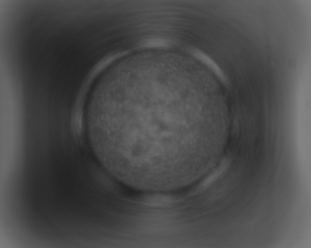 X0000101401027200807071214
