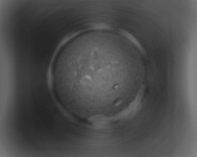 X0000101401032200807071214