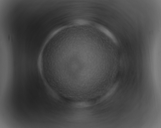 X0000101401047200807071214