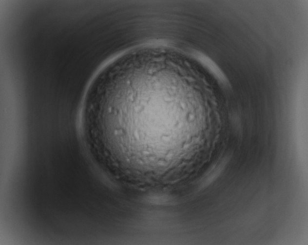 X0000101401052200807071214