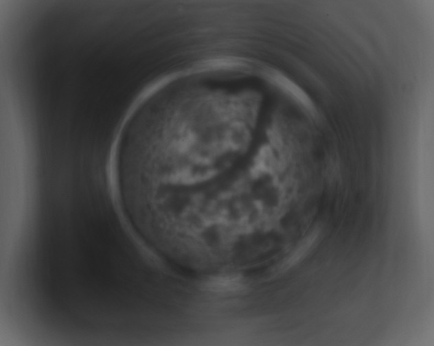 X0000101401055200807071215
