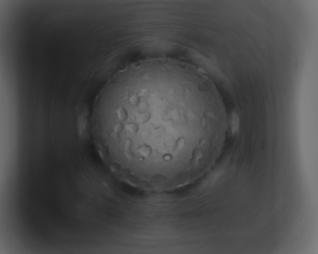 X0000101401059200807071214