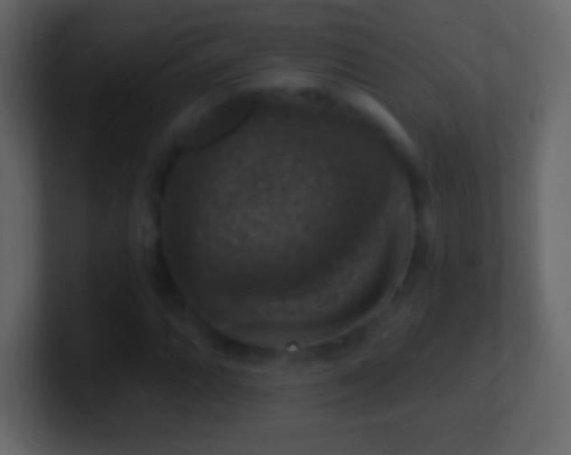 X0000101401064200807071214
