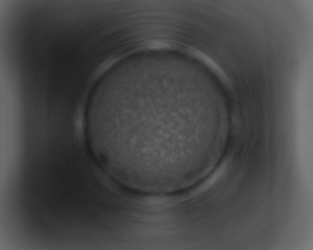 X0000101401065200807071214