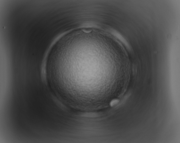 X0000101401068200807071214