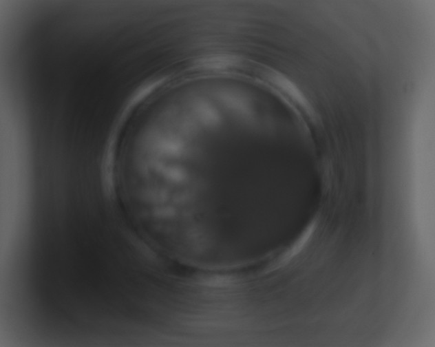 X0000101401071200807071214