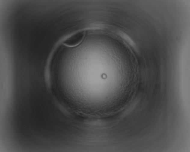 X0000101401072200807071214