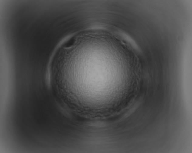 X0000101401076200807071213