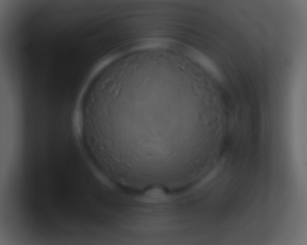 X0000101401079200807071213