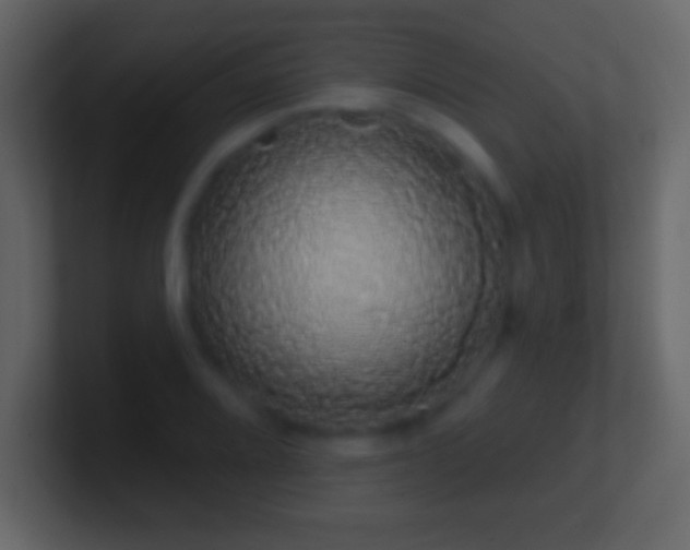 X0000101401080200807071213