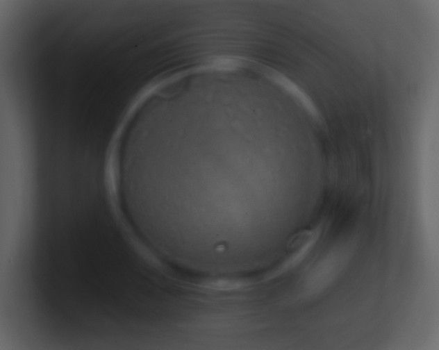 X0000101401083200807071213