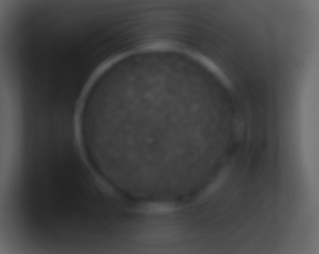 X0000101401086200807071213