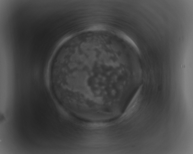 X0000101401087200807071213