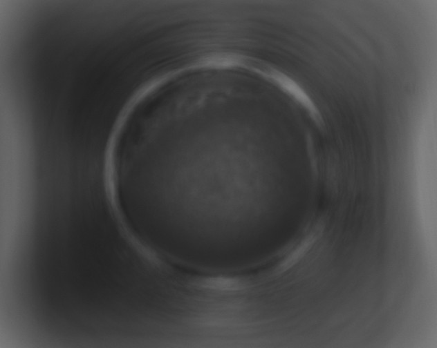 X0000101401088200807071213