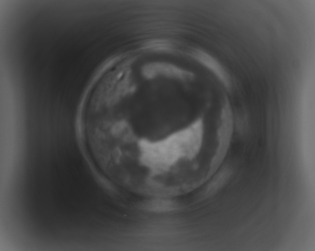 X0000101401090200807071213