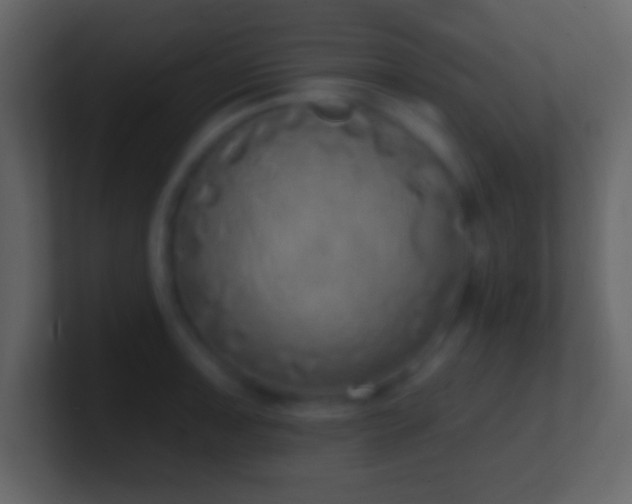 X0000101401091200807071213