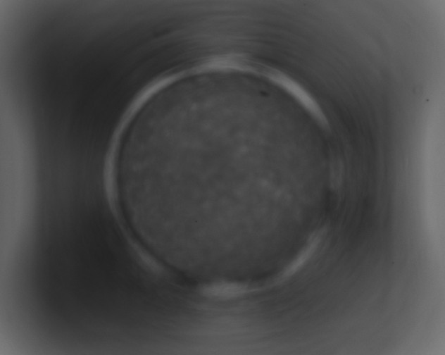 X0000101401094200807071213