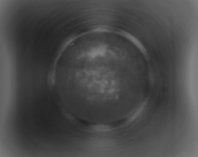 X0000101401097200807071213