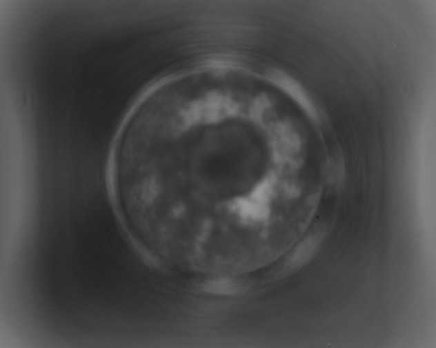 X0000101401098200807071213
