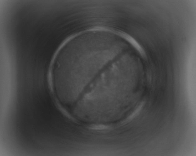 X0000101401100200807071213