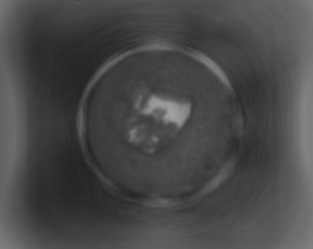 X0000101401101200807071213