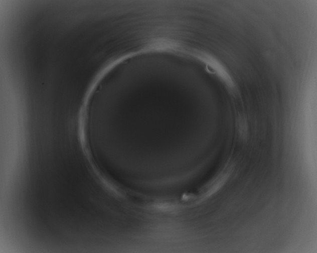 X0000101401102200807071213