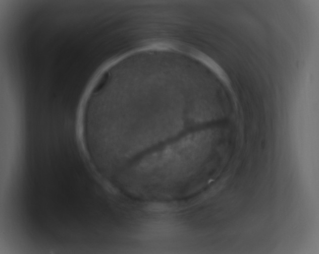 X0000101401104200807071213