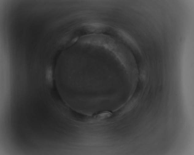 X0000101401108200807071212
