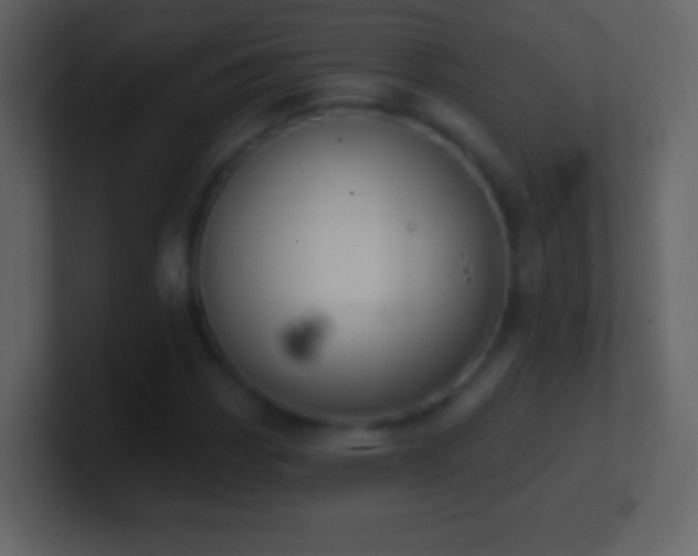 X0000101401113200807071212