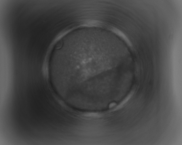 X0000101401114200807071212