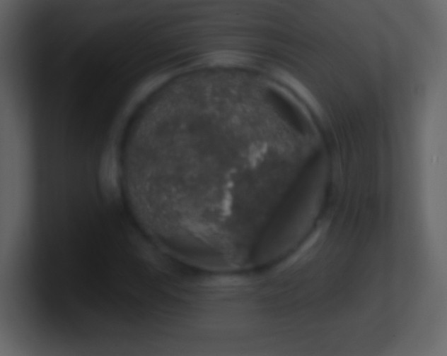 X0000101401115200807071212