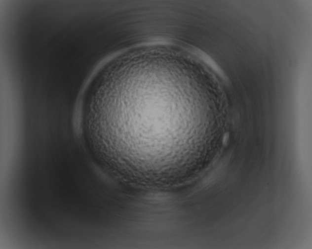 X0000101401116200807071212
