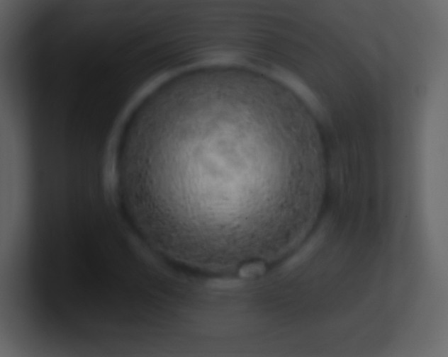 X0000101401118200807071212