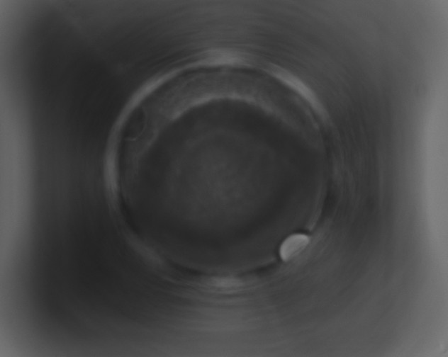 X0000101401120200807071212