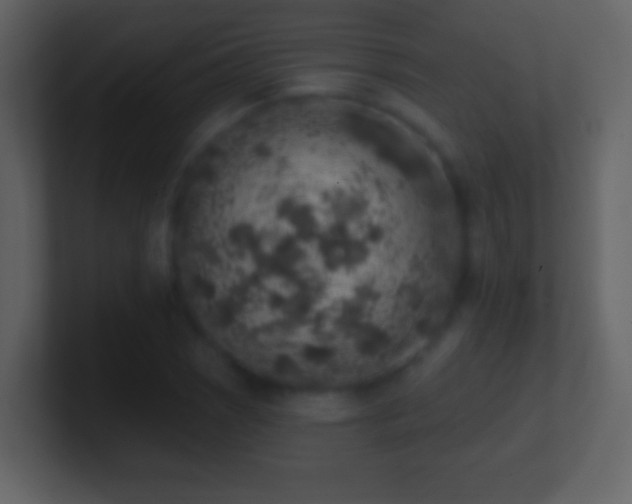 X0000101401121200807071212