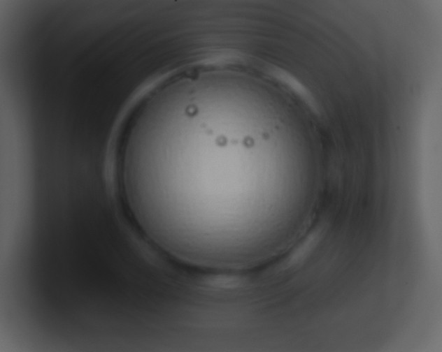 X0000101401122200807071212