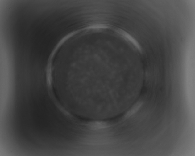 X0000101401124200807071213