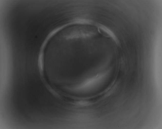 X0000101401128200807071213