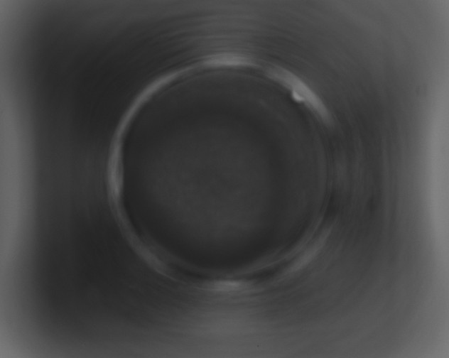 X0000101401132200807071213