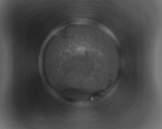 X0000101401138200807071213