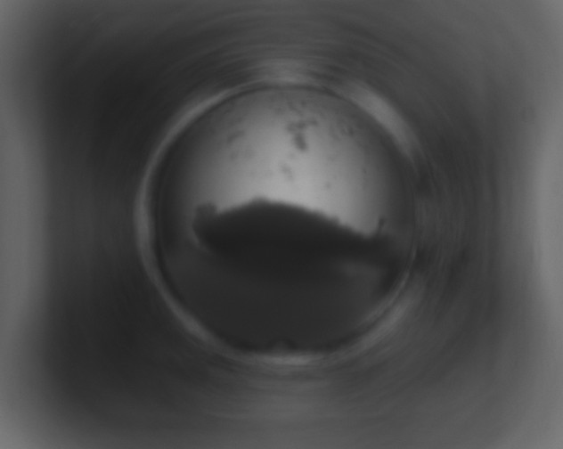 X0000101401141200807071213