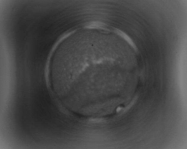 X0000101401146200807071213