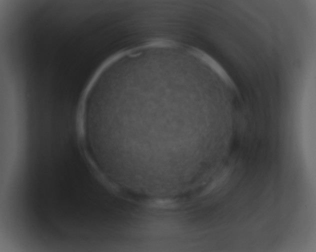 X0000101401148200807071213