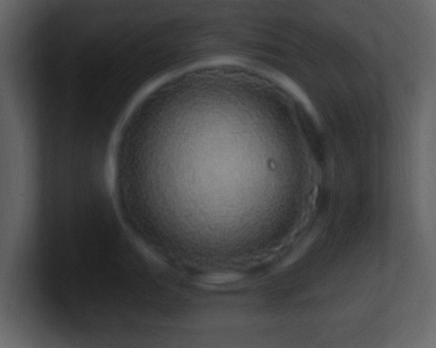 X0000101401151200807071213