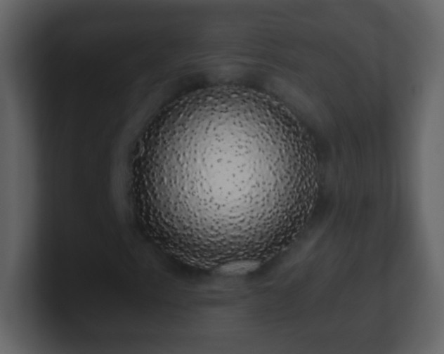 X0000101401153200807071212