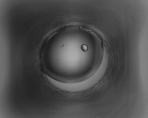 X0000101401160200807071212