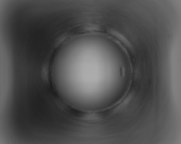 X0000101401162200807071212