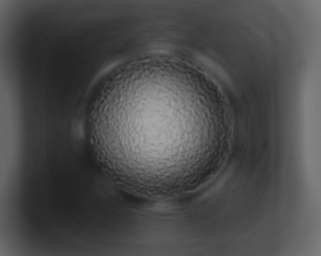 X0000101401166200807071212