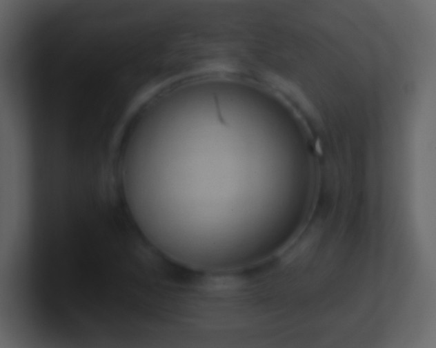 X0000101401168200807071212