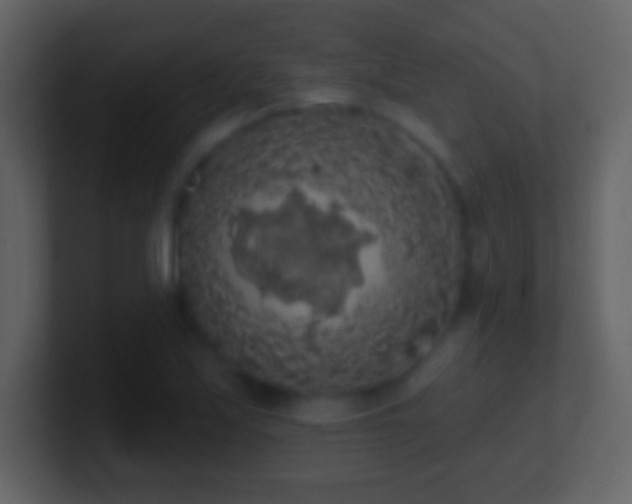 X0000101401171200807071212